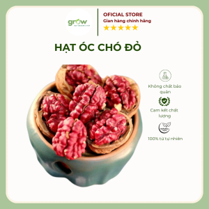 Trang Chủ 41 hạt óc chó